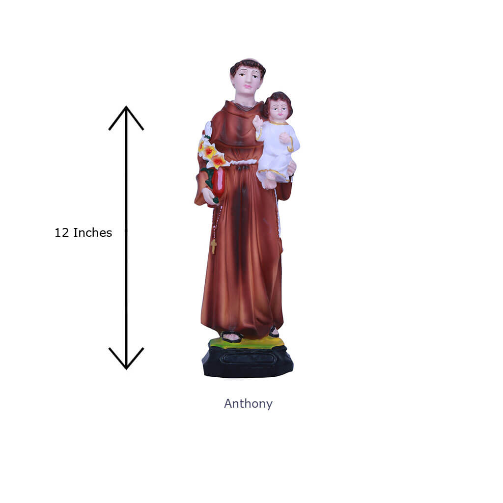 12-inch-Anthony